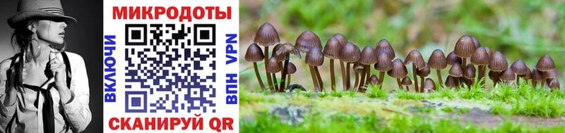 это состав  Верхняя Пышма  Галлюциногенные грибы MAGIC MUSHROOMS  hydra ТОР 